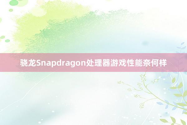 骁龙Snapdragon处理器游戏性能奈何样