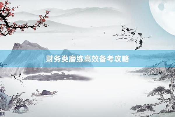 财务类磨练高效备考攻略